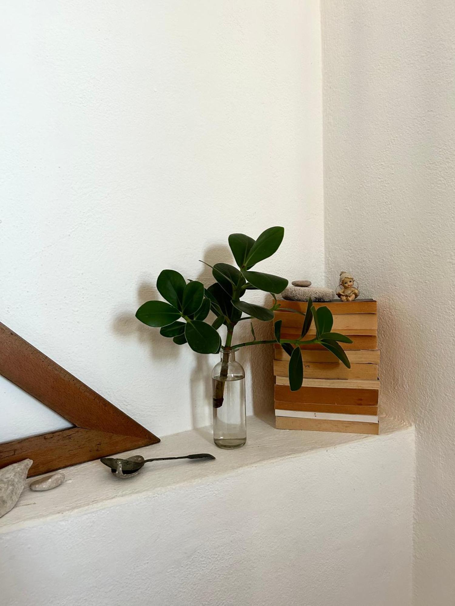 House Buinac Apartman *